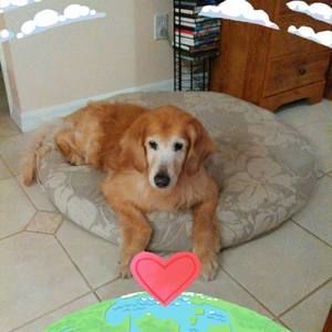 Meet your Posher, Tl